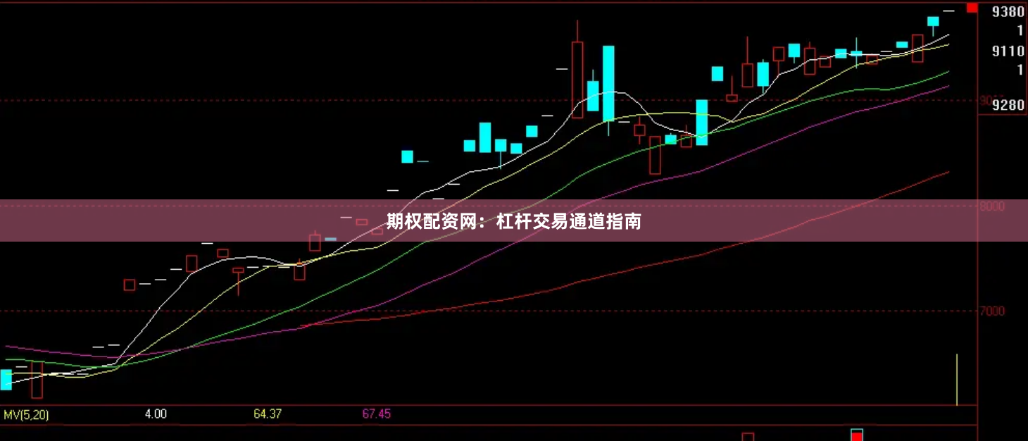 期权配资网：杠杆交易通道指南